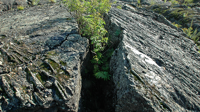 火山岩滤料